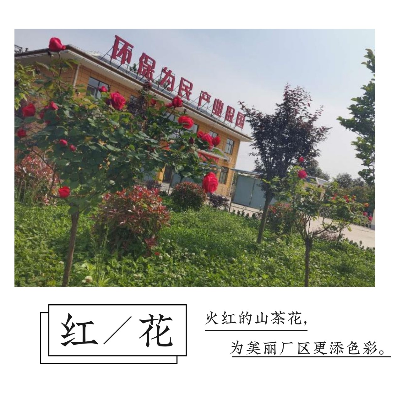 亚星·yaxin(中国官网)_亚星注册登录